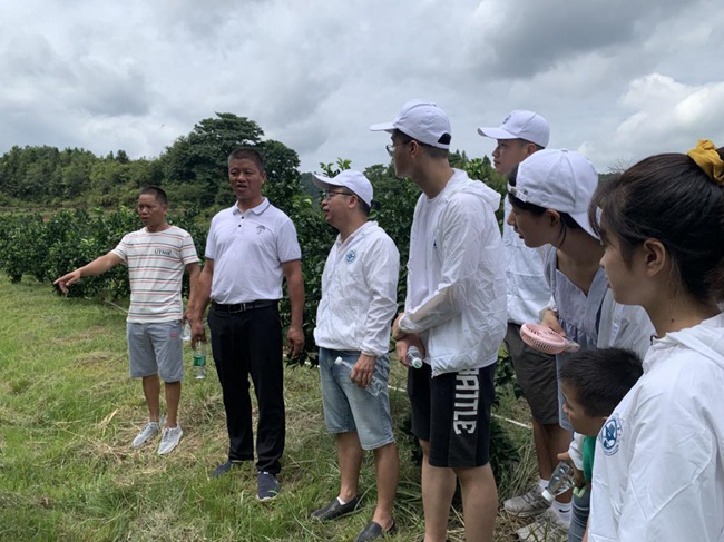 實踐隊在村主任伍玉炎帶領下參觀贛南臍橙種植園。福建船政交通職業(yè)學院供圖